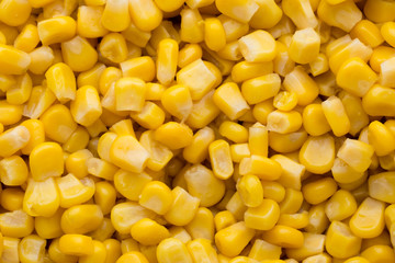 Fototapeta premium Bulk of yellow corn grains texture.