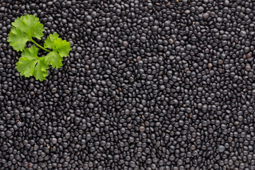 Food and cookery background of healthy dried  black lentils.