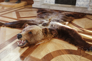 Scarecrow killed a bear on the floor