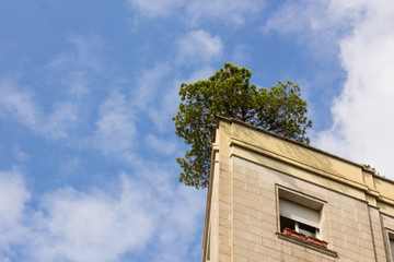 The house looks like a ship