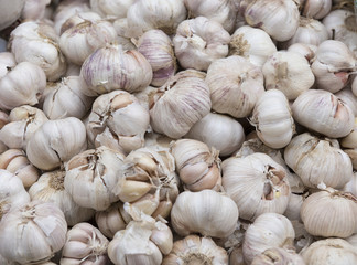 garlic background close up