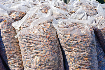 Bags with mulches used for garden decorating