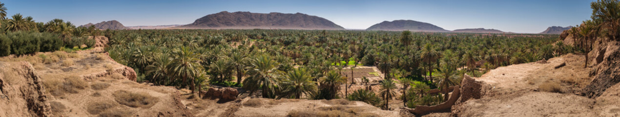 Panoramic view over oasis of date palms, Figuig, Morocco