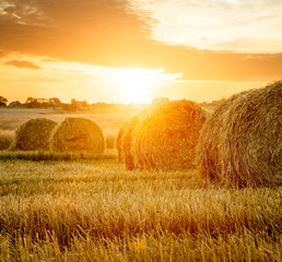 Summer Farm Field with Hay Bales on the Background of Beautiful Sunset. Agriculture Concept. Haystack Scenery. Toned and Filtered Photo with Copy Space. - 134523420