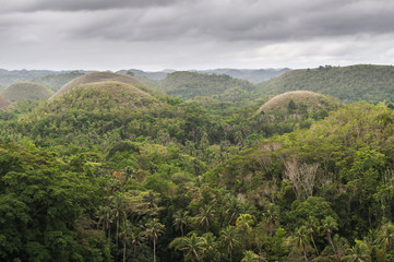 Die Schokoladenberge, Chocolate Hills / Die Schokoladenberge, Chocolate Hills auf der Insel Bohol, Visayas, Philippinen.
