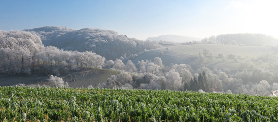 Eislandschaft im Morgendunst