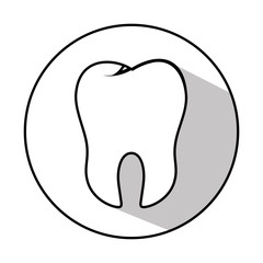 teeth emblem isolated icon vector illustration design