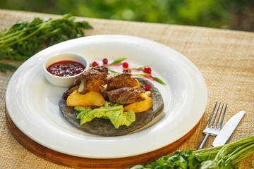 meat with greens on a cake the background of nature. Picnic