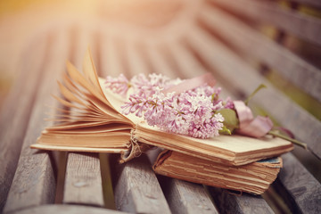 Obraz na płótnie Canvas Forgotten books and branch of a lilac on a bench.