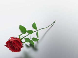 3D illustration red rose
