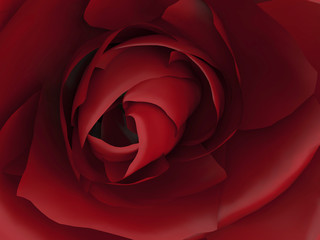 Fototapeta na wymiar 3D illustration zoom red rose