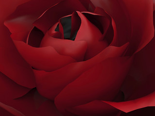 3D illustration zoom red rose