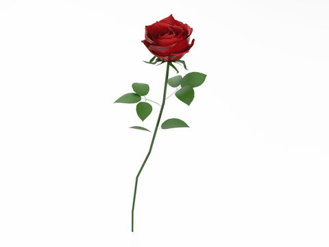 3D illustration red rose