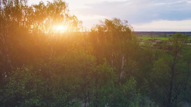 4K Aerial View Drone Flight: Sun's rays make their way through swing tree leaves. Camera rise up. Sunset soft light with pastel cloudy sky. Ukraine, Europe. Magestic landscape. Nature background
