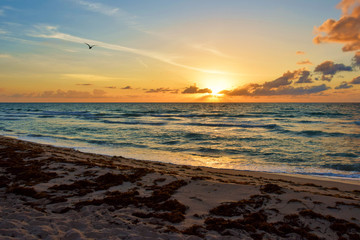 Sunrise @ Miami Beach