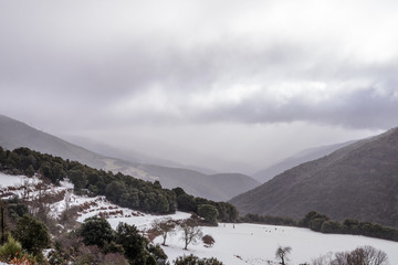 Pico de Collformic 1125m en la sierra del Montseny con nieve, Cataluña