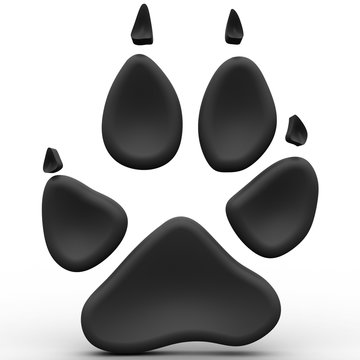 Gray Wolf Tracks - 3D animal footprint