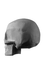 plaster statue of a human skull and head with an angular outline graphic.