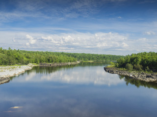 Summer landscape