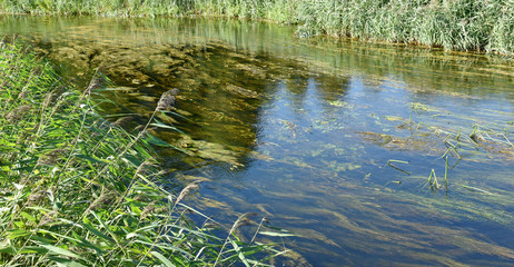 Rzeka... © jadwiga.koniecko