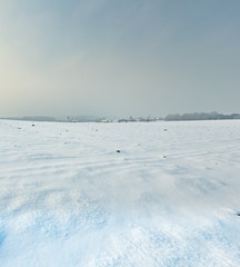 Fototapeta na wymiar Winter snowy fields and foggy day