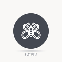 Butterfly icon. Flying lepidoptera sign. Dreaming symbol. Round web button with flat icon. Vector