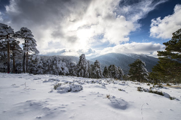 Fototapeta na wymiar Winter landscape. Mountain.