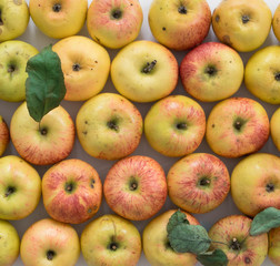 Apple background. 