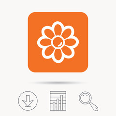 Flower icon. Florist plant with petals symbol. Report chart, download and magnifier search signs. Orange square button with web icon. Vector