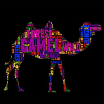camel Typography word cloud colorful Vector illustration
