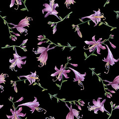 Fototapeta na wymiar Seamless pattern with branch of purple hosta flower. Lilies. Hosta ventricosa minor, asparagaceae family. Hand drawn watercolor painting on black background.