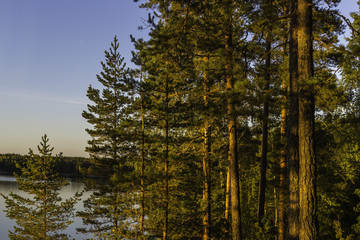 Autumn sunset at the bank of the lake at Suomi.