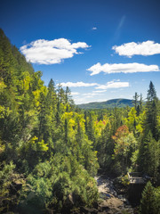 Autumn landscape