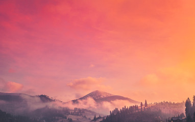 Majestic foggy forest and mountain peak. Dramatic and picturesque sunrise pink orange sky....