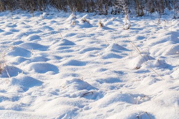 Fototapeta na wymiar Winter snow background with snow covered plants