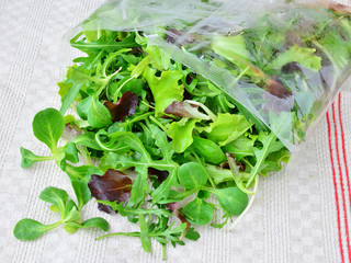 Fresh mixed greens leaf vegetables of arugula, mesclun, mache in open plastic bag