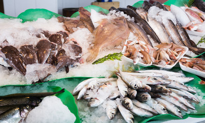 fish on counter
