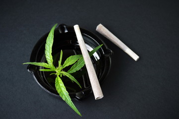 Joints with marijuana leaves and ashtray