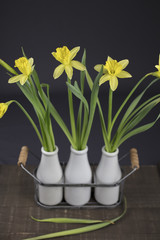 Bouquet Of Yellow Daffodils