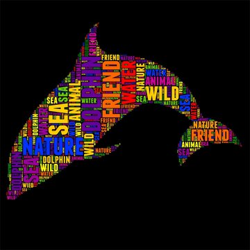 dolphin Typography word cloud colorful Vector illustration