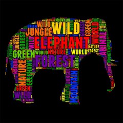 Fototapeta premium elephant Typography word cloud colorful Vector illustration