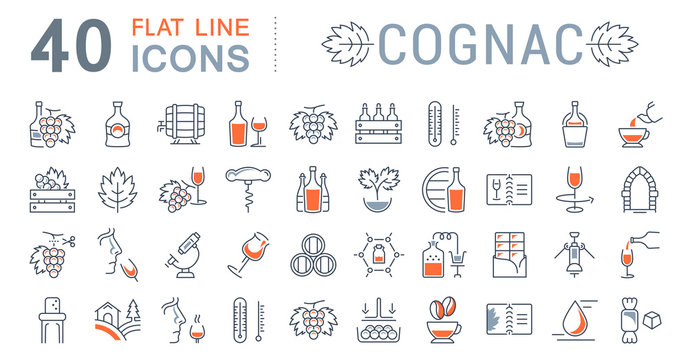 Set Vector Flat Line Icons Cognac
