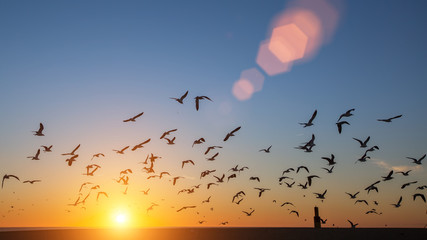 Image of Silhouettes flock of birds over the Atlantic ocean during sunset. Seagulls and albatross. printed on Printed Glass Splashbacks