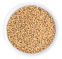 Mustard Seeds isolated on white