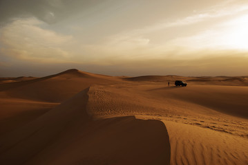 Fototapeta na wymiar Safari in the desert