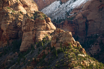 Fototapeta na wymiar Mountains in Utah