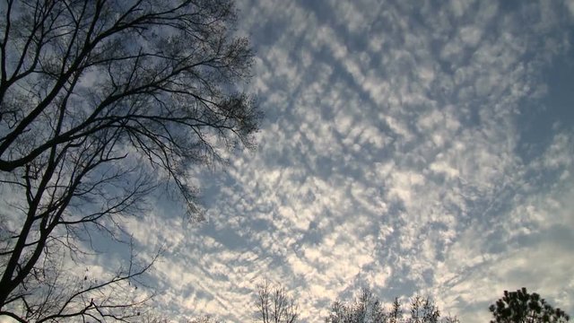 Altocumulus Clouds Overhead in the Evening