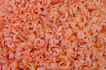 Dried Shrimp