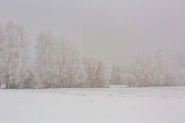 Obraz na płótnie Canvas Winter foggy fields near forest landscape