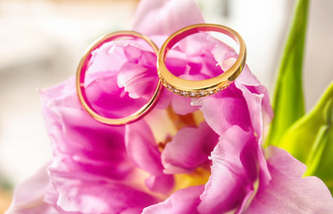 Fototapeta na wymiar Closeup of wedding rings on pink beautiful flower
